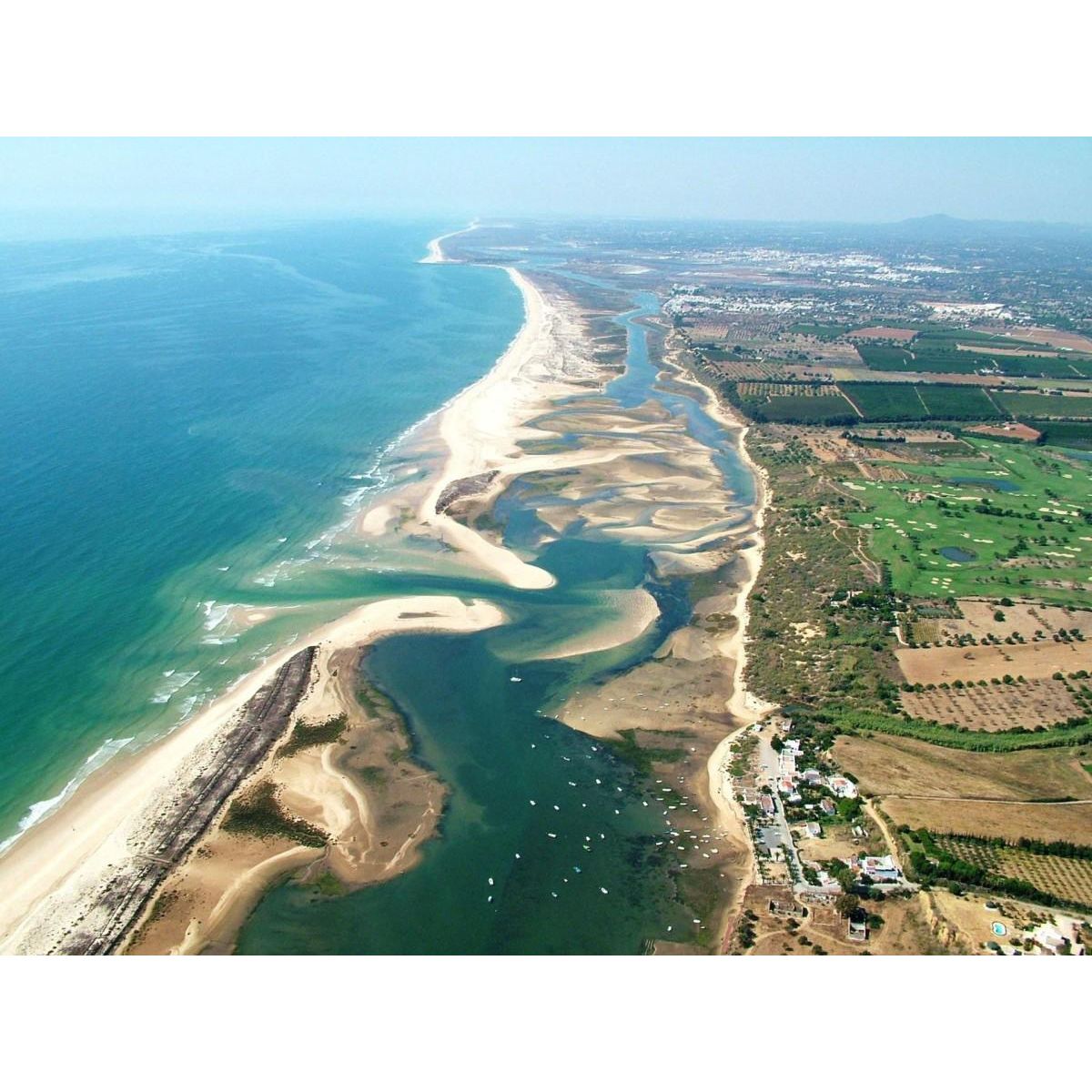 Observação das Aves da Ria Formosa