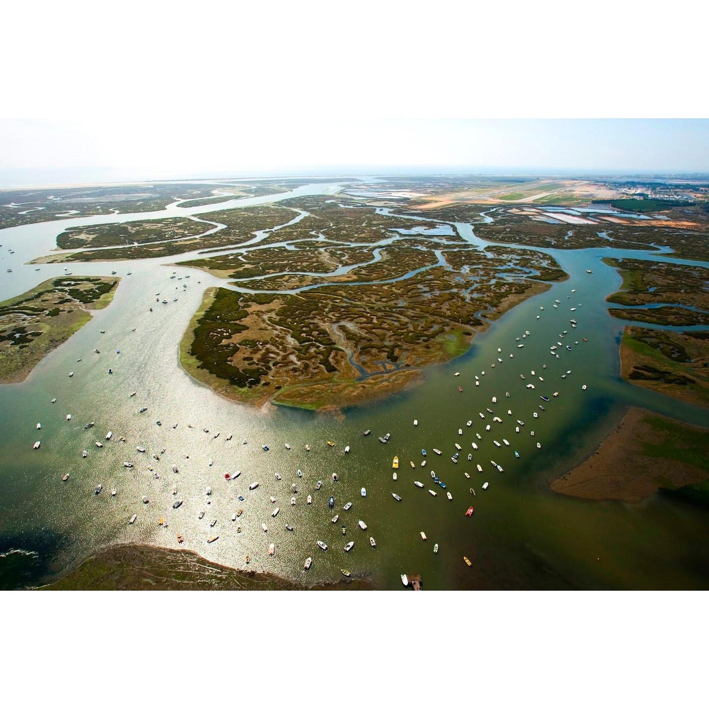 Observação das Aves da Ria Formosa