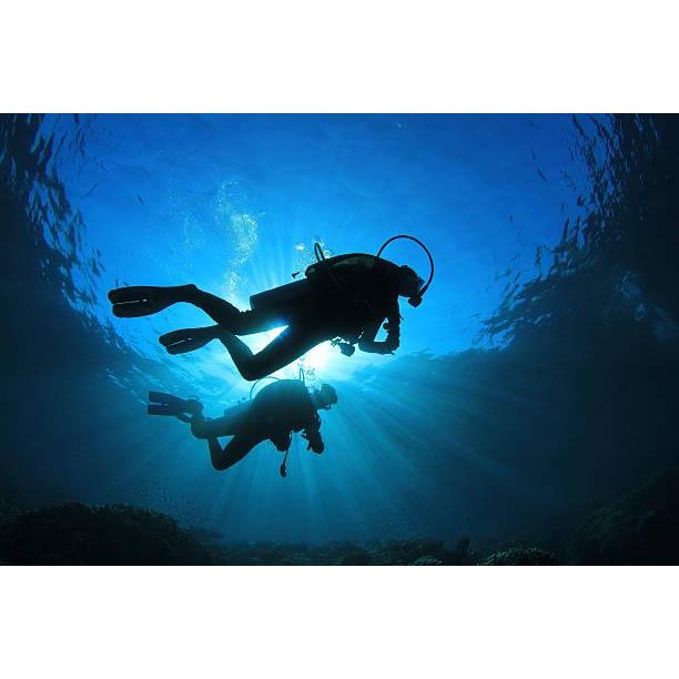 Mergulhos e Excursões Submarinas