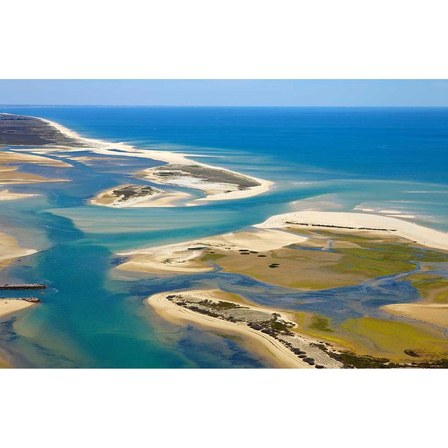Observação das Aves da Ria Formosa