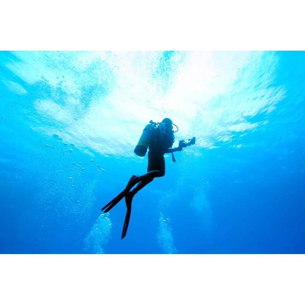 Mergulhos e Excursões Submarinas