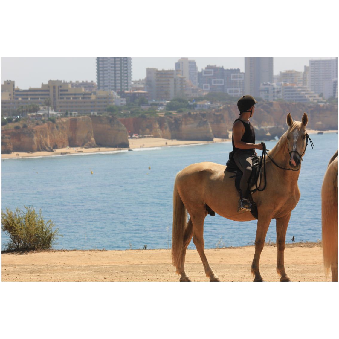 Passeio a Cavalo pela Costa Algarvia