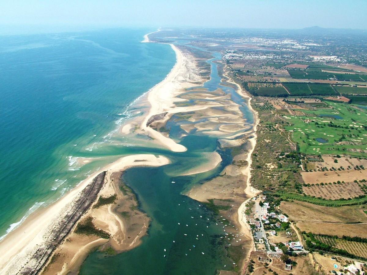 Observation des oiseaux à Ria Formosa