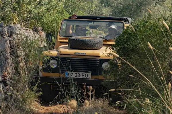 Safari na Serra Algarvia