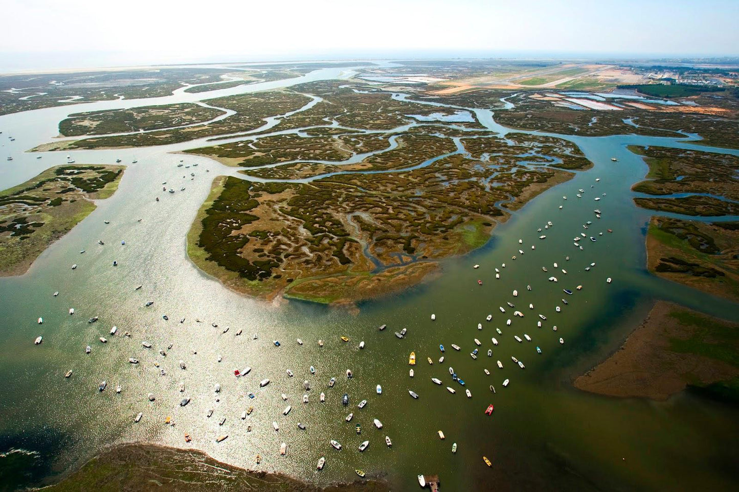 Observação das Aves da Ria Formosa