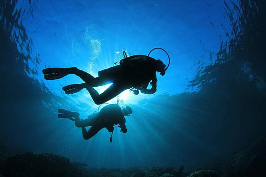 Diving and Underwater Excursions