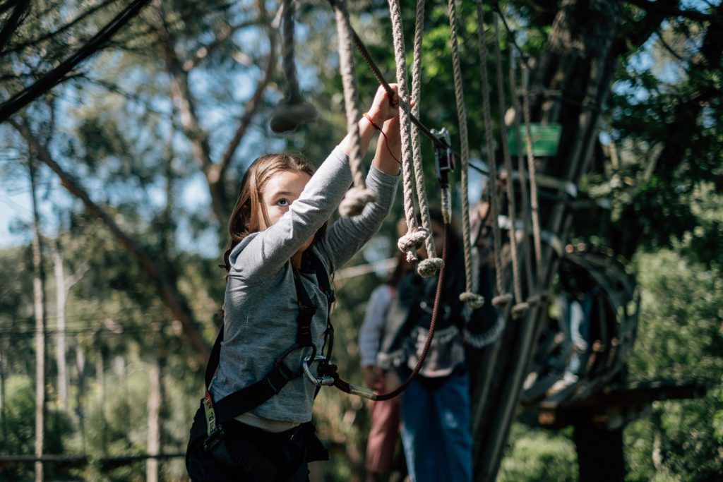 Paintball et escalade d'arbres