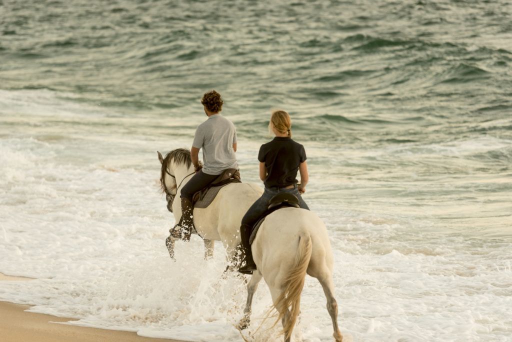 Horseback Riding Along the Algarve Coast