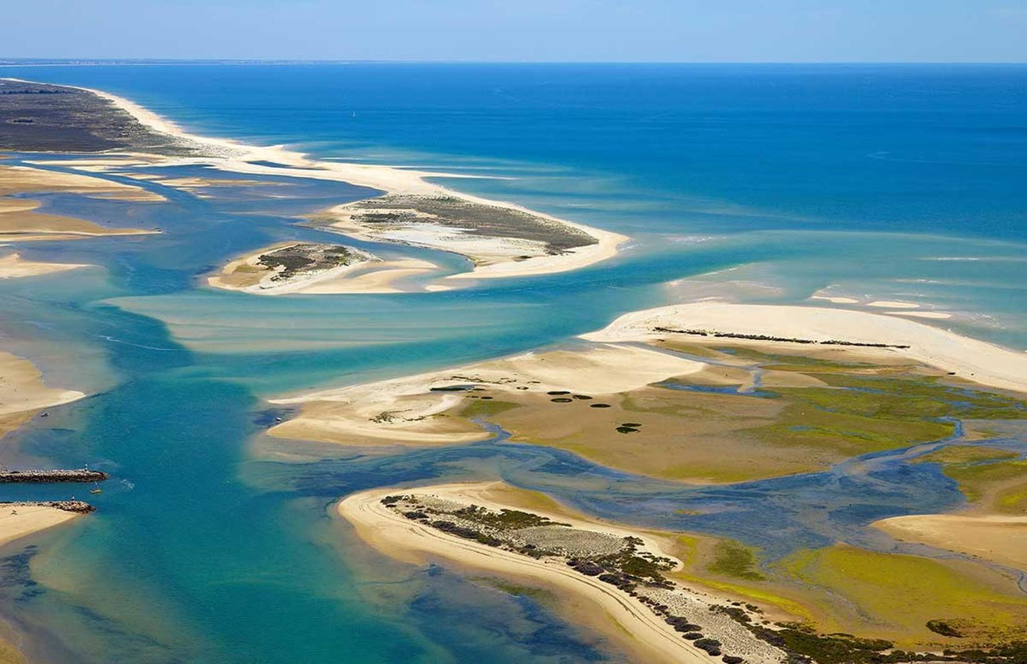 Birdwatching in Ria Formosa