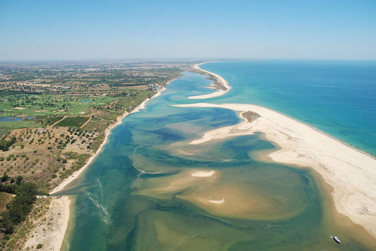 Birdwatching in Ria Formosa