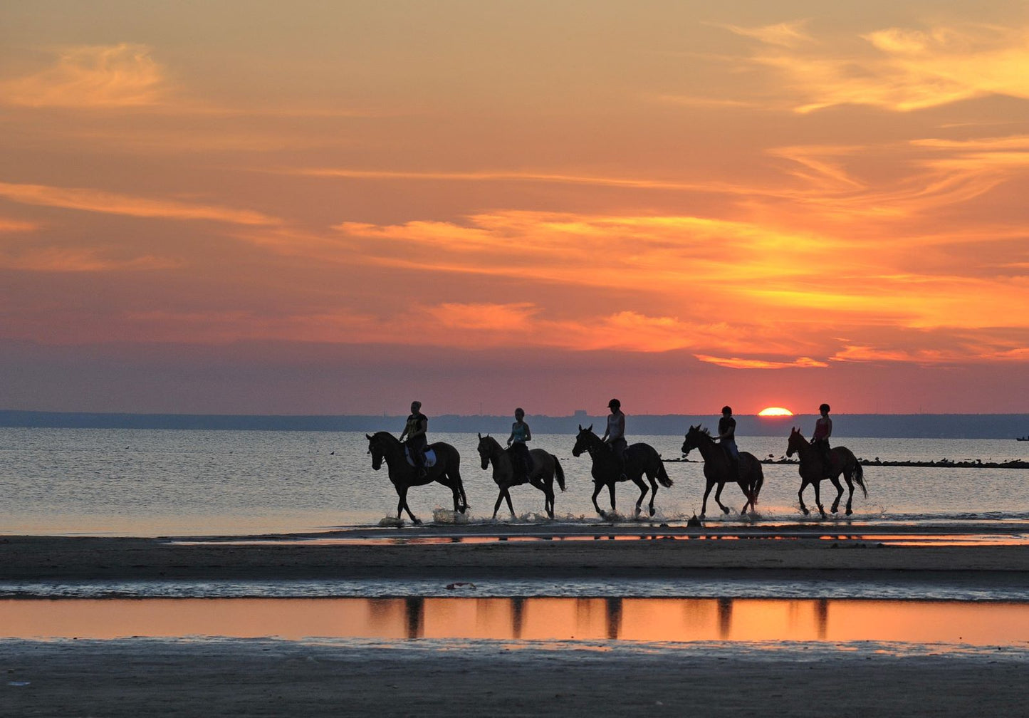 Horseback Riding Along the Algarve Coast