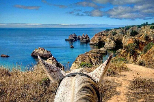 Passeio a Cavalo pela Costa Algarvia