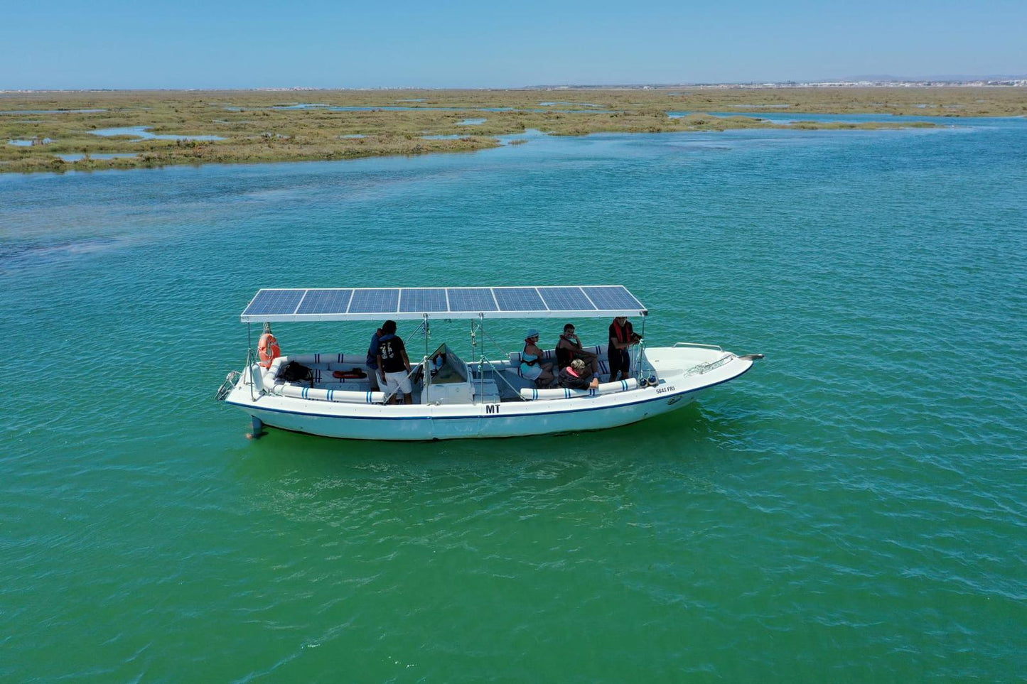 Birdwatching in Ria Formosa