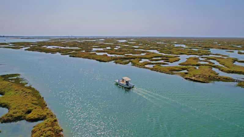 Observation des oiseaux à Ria Formosa