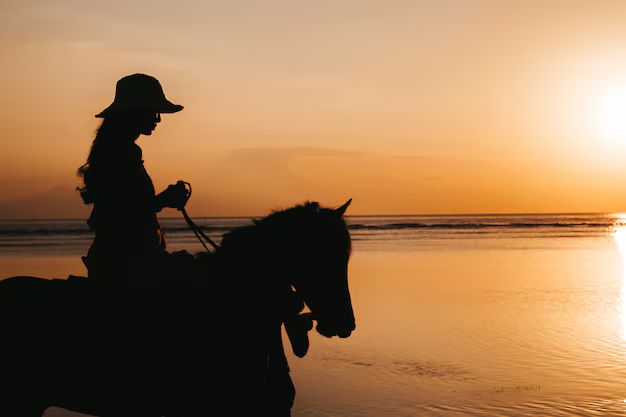 Horseback Riding Along the Algarve Coast