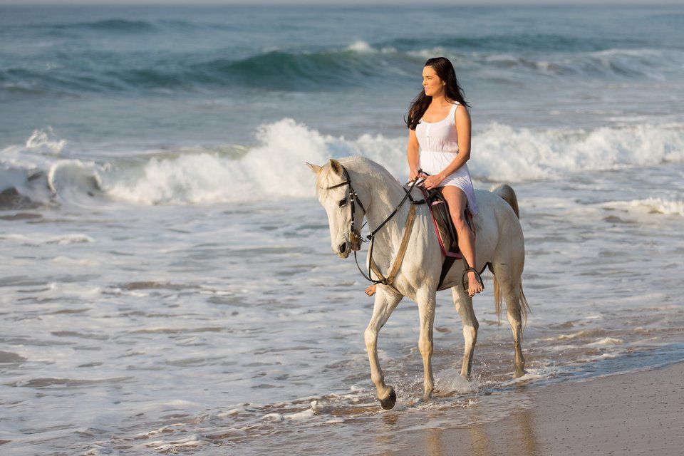 Horseback Riding Along the Algarve Coast