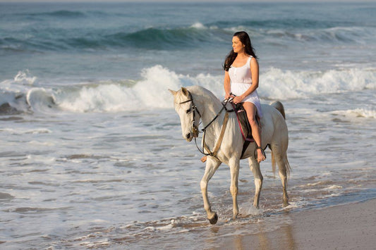 Passeio a Cavalo pela Costa Algarvia