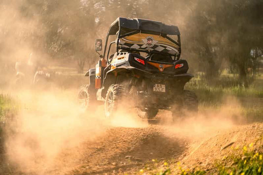 Aventura de buggy off-road (por grupo de dois)