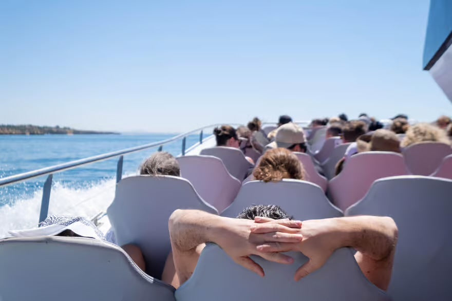 Albufeira: Dolphin and Benagil Caves