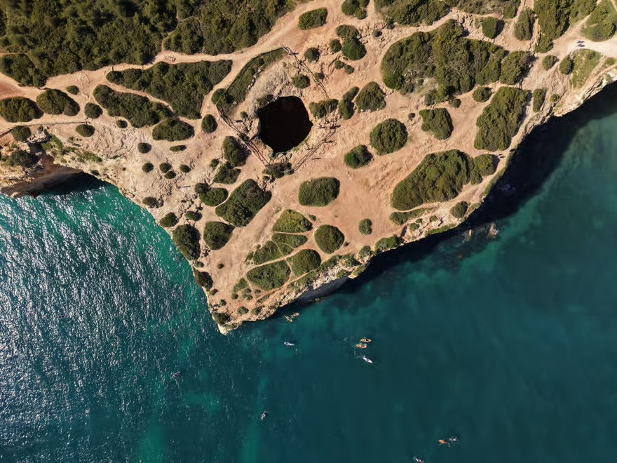 Albufeira: Dolphin and Benagil Caves