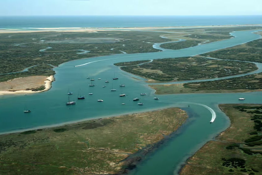 Vilamoura: Ria Formosa Full Day Experience