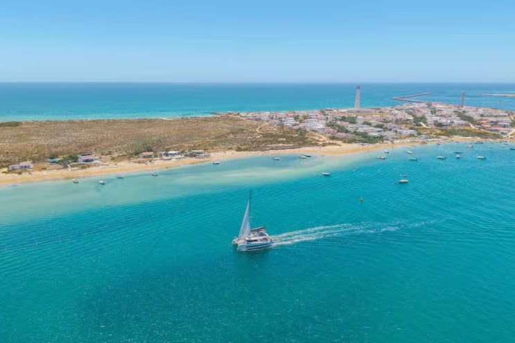 Vilamoura: Ria Formosa Full Day Experience