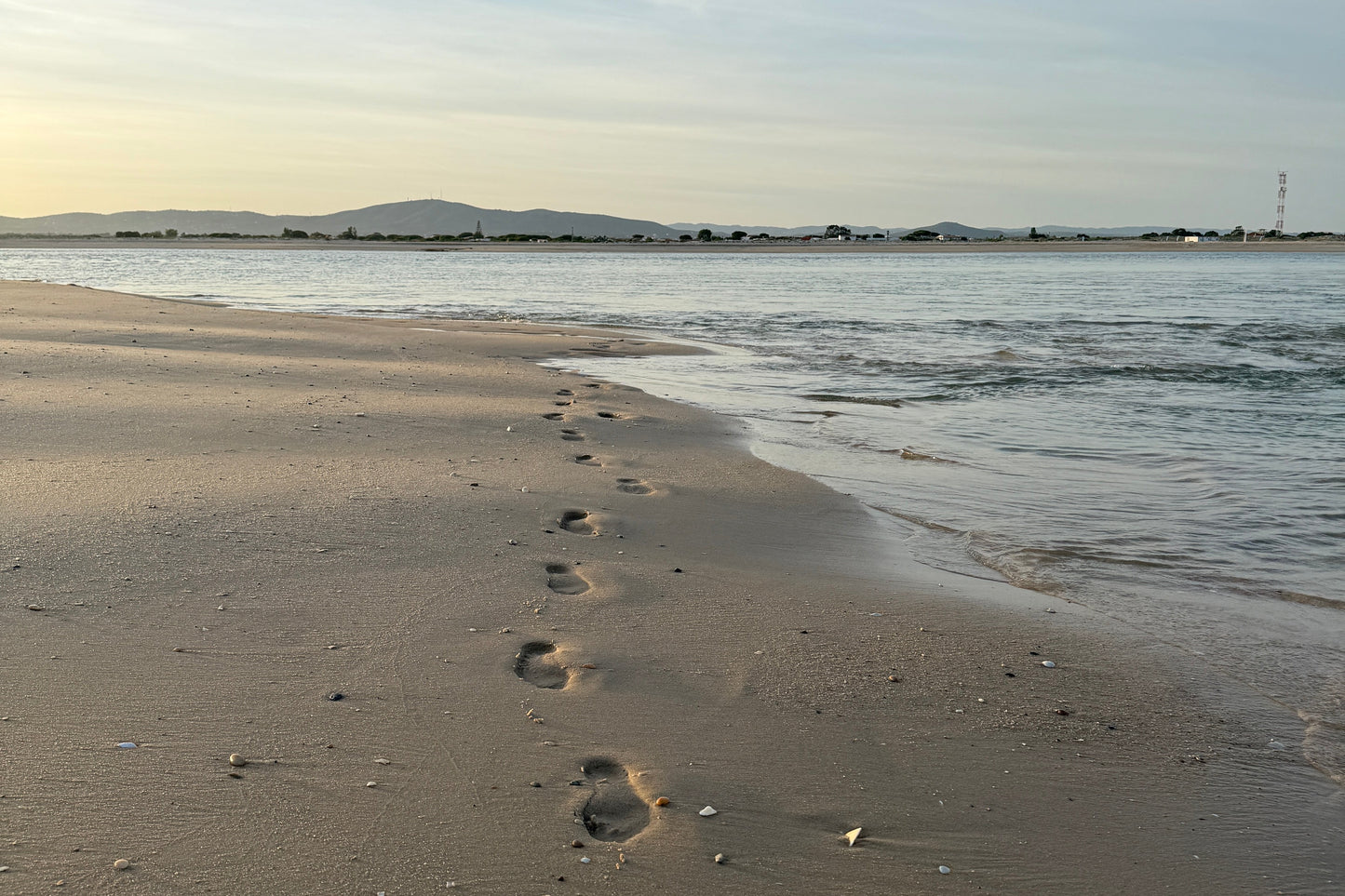 Ria Formosa: 5-Hour Boat Tour to 3 Islands