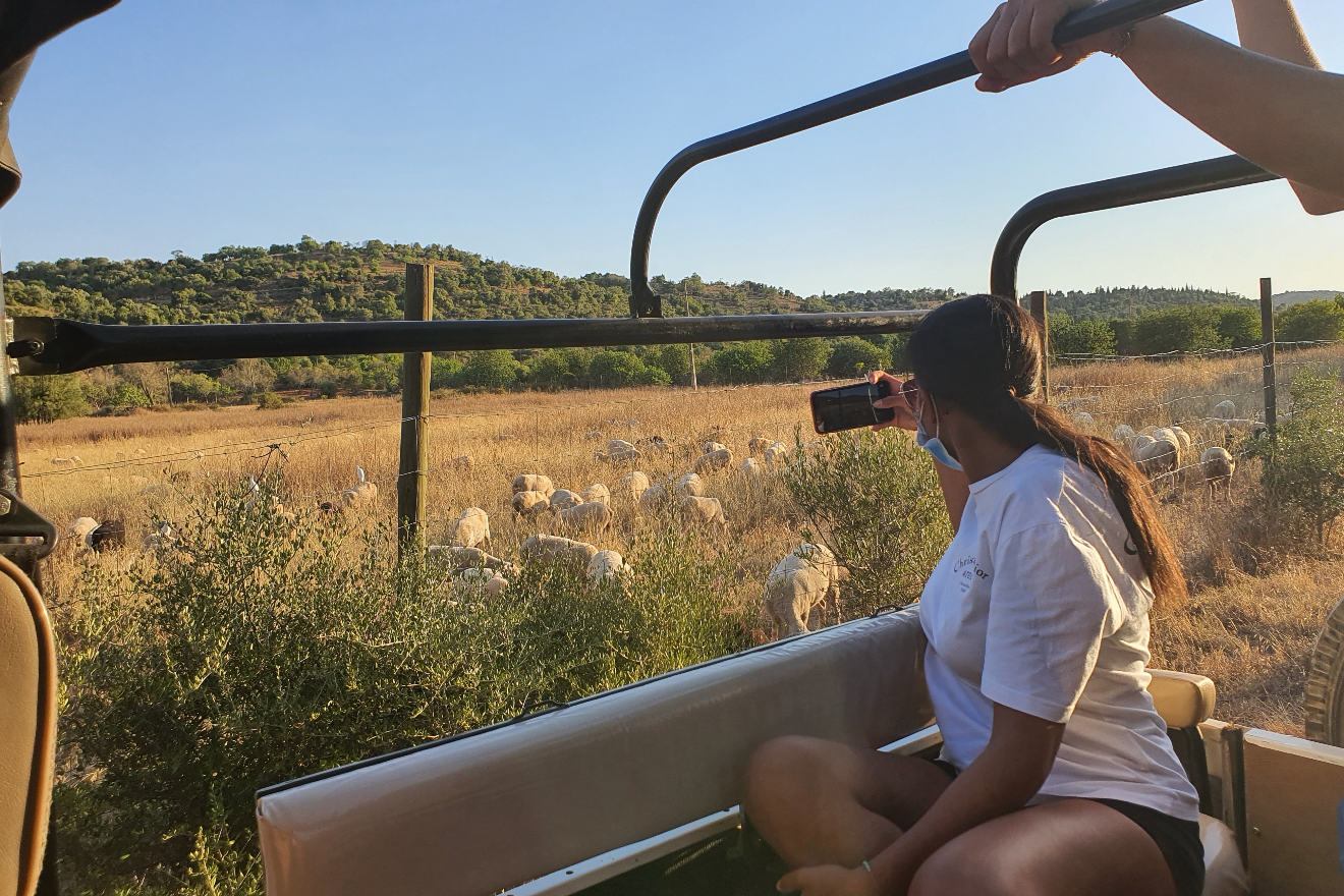 Albufeira: Jeep Safari