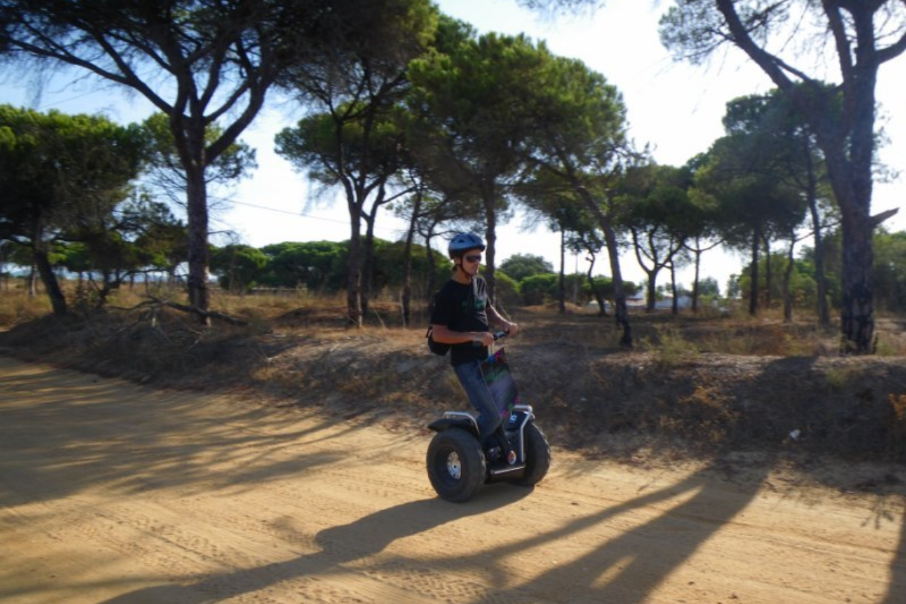 Segway Tour in Ria Formosa Natural Park with Birdwatching