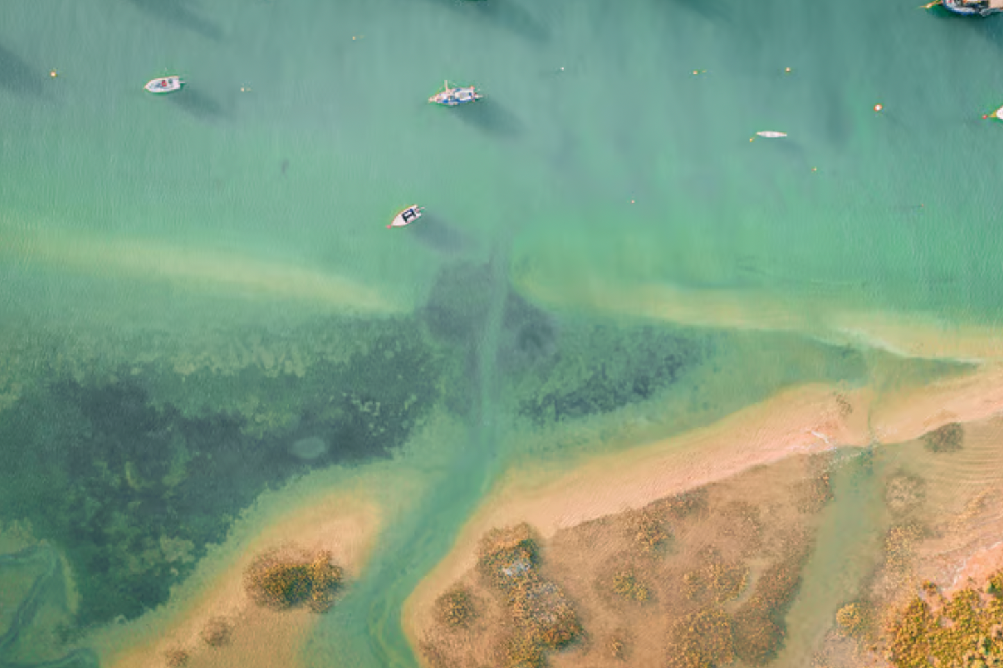 Ria Formosa: 3-Hour Boat Tour to Armona and Culatra Islands