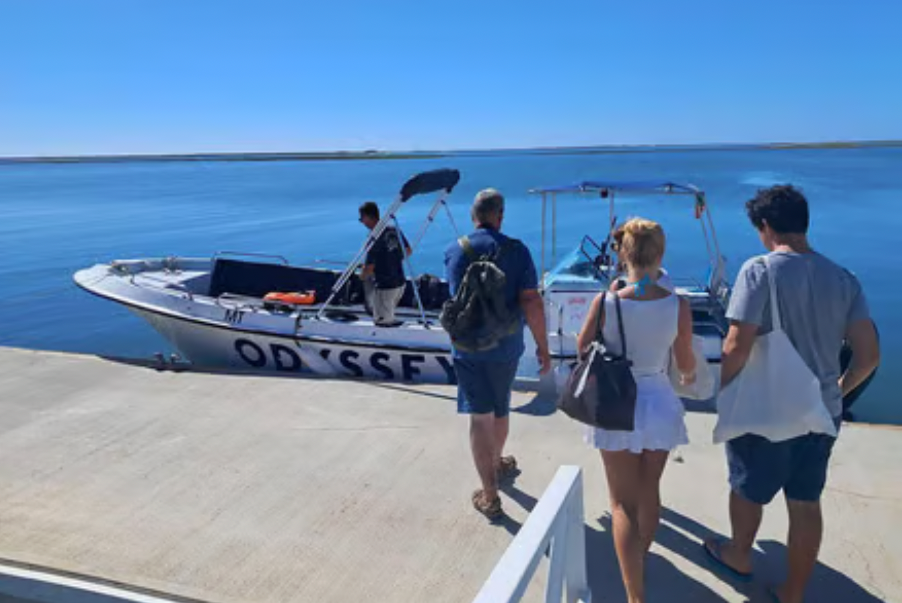 Ria Formosa: 3-Hour Boat Tour to Armona and Culatra Islands