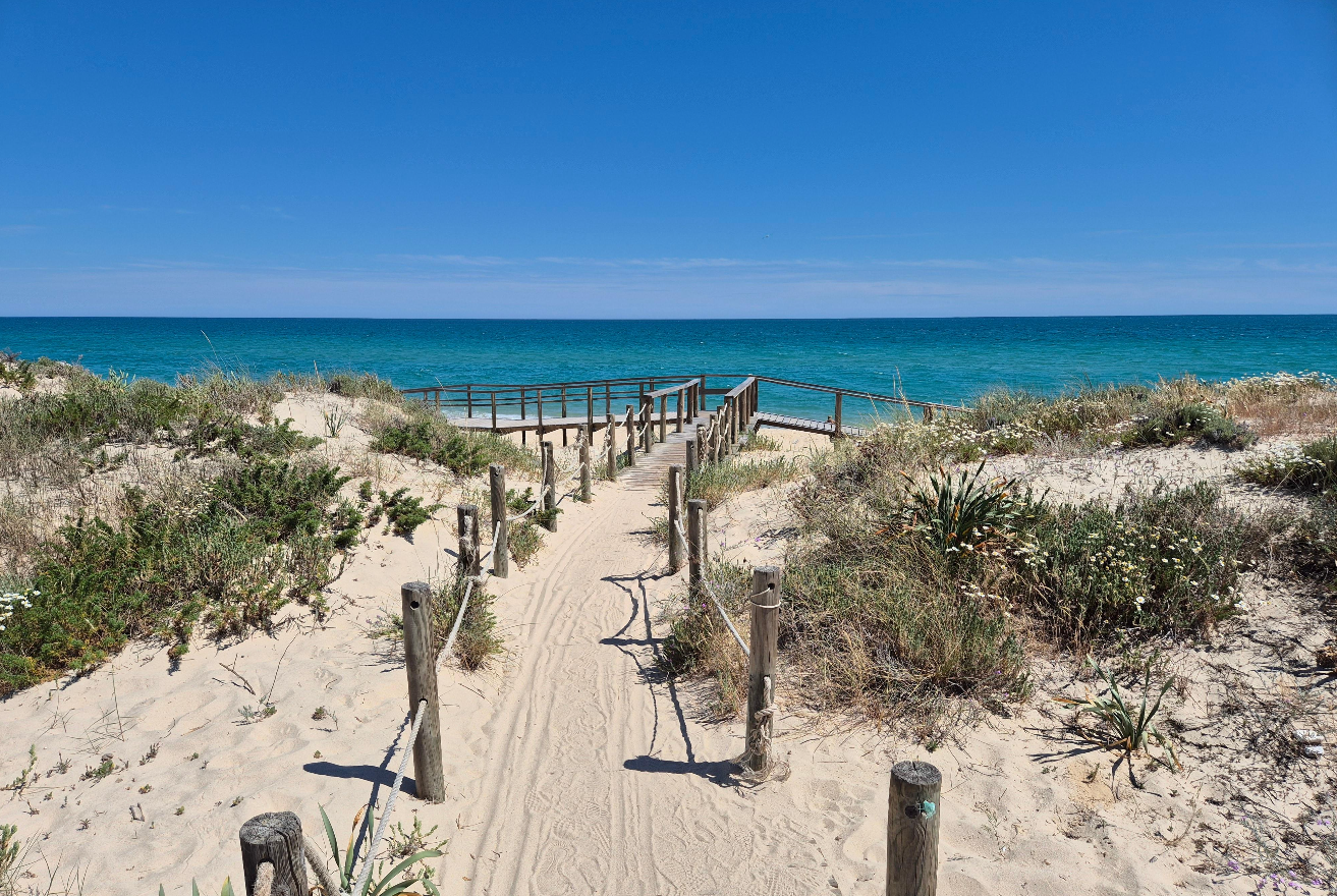 Ria Formosa: 3-Hour Boat Tour to Armona and Culatra Islands