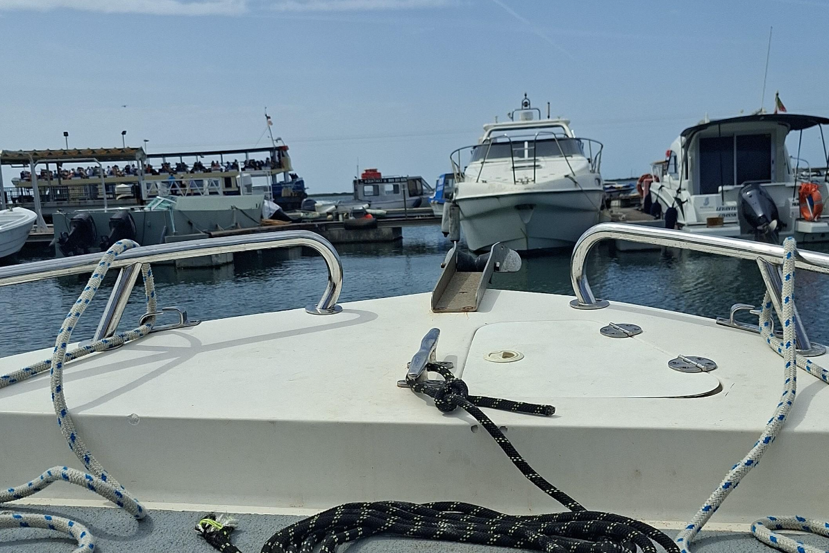 Ria Formosa: 3-Hour Boat Tour to Armona and Culatra Islands