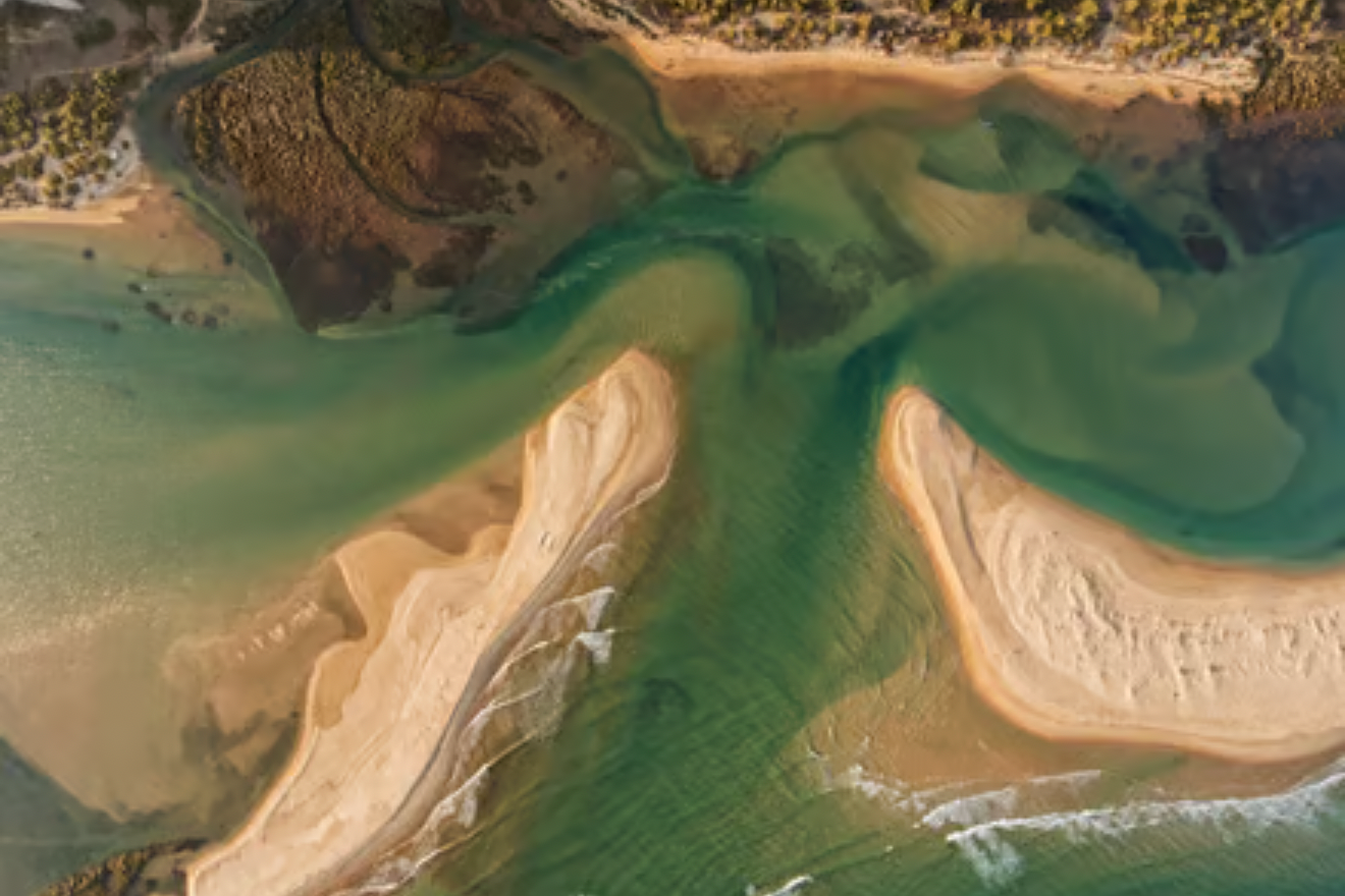 Ria Formosa: 3-Hour Boat Tour to Armona and Culatra Islands