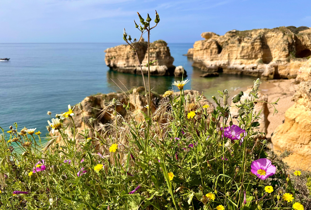 Albufeira: Tuk-Tuk Tour