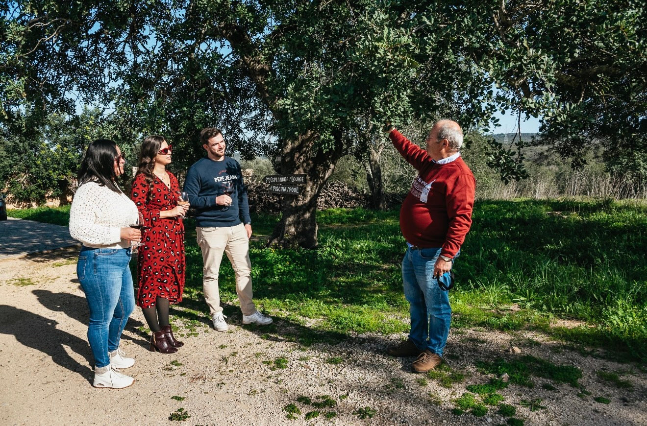 Wine Tasting