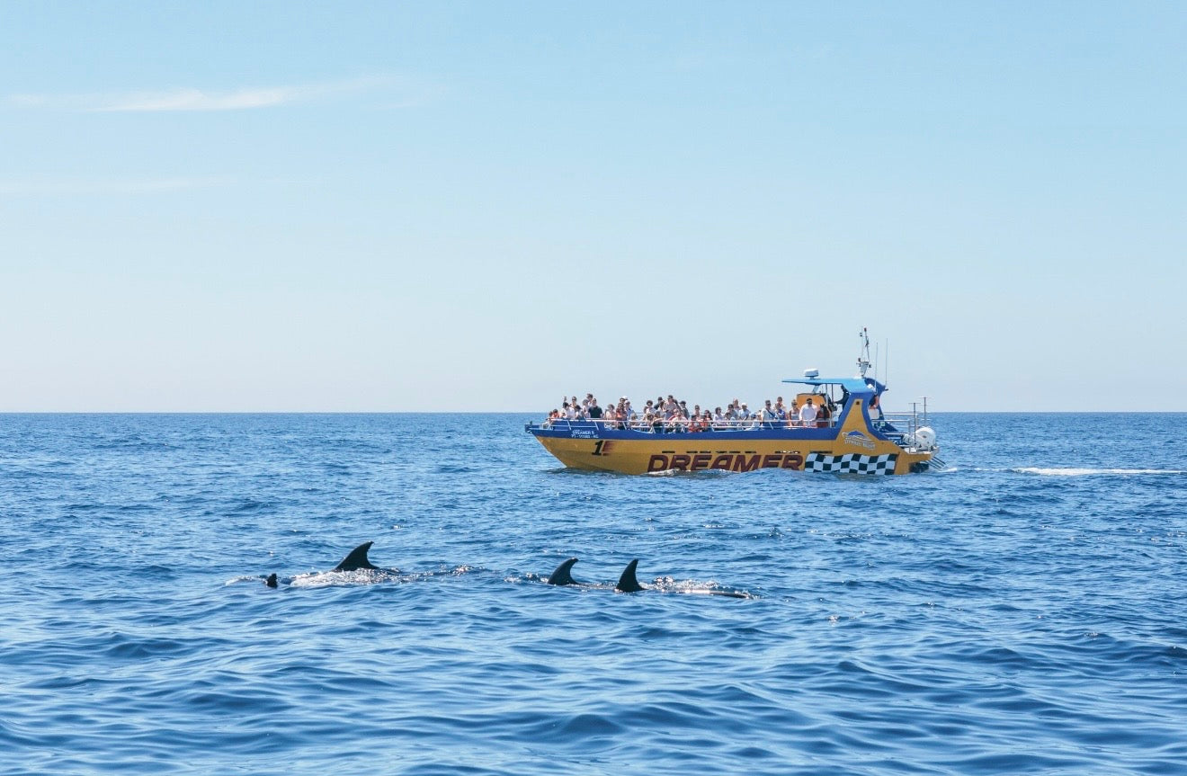 Albufeira: Dolphin Watching and Benagil Caves