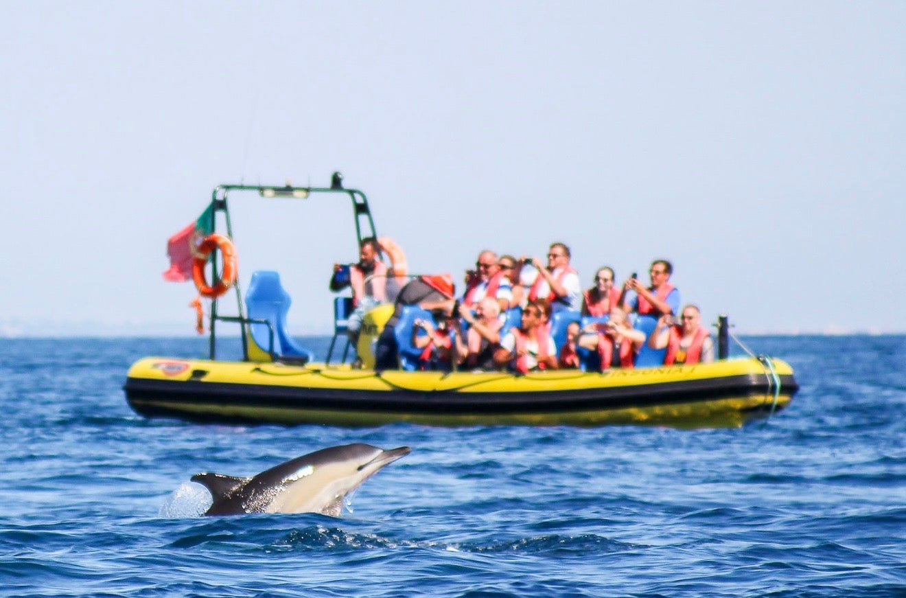 Albufeira: Dolphin Watching and Benagil Caves
