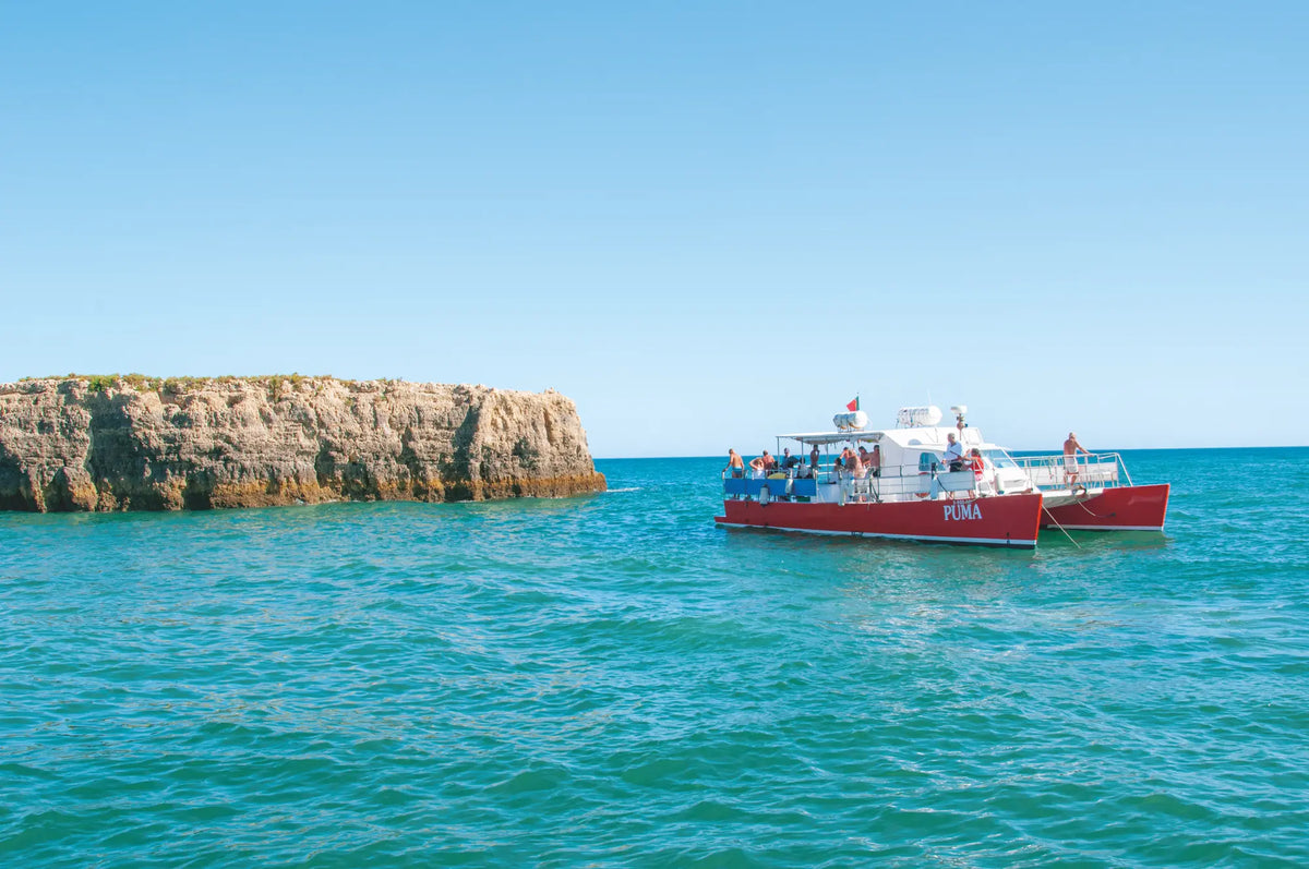 Vilamoura: Benagil Cave and Coastline