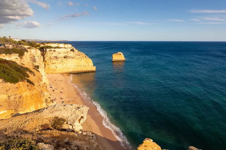 Algarve Panorâmico & Prova de Vinhos