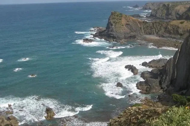 Costa Vicentina - Litoral Selvagem