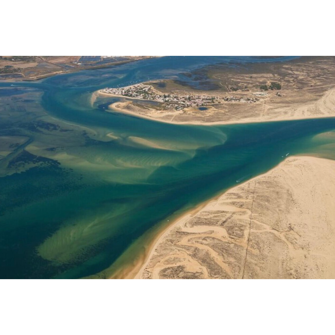 Ria Formosa: 3-Hour Boat Tour to Armona and Culatra Islands