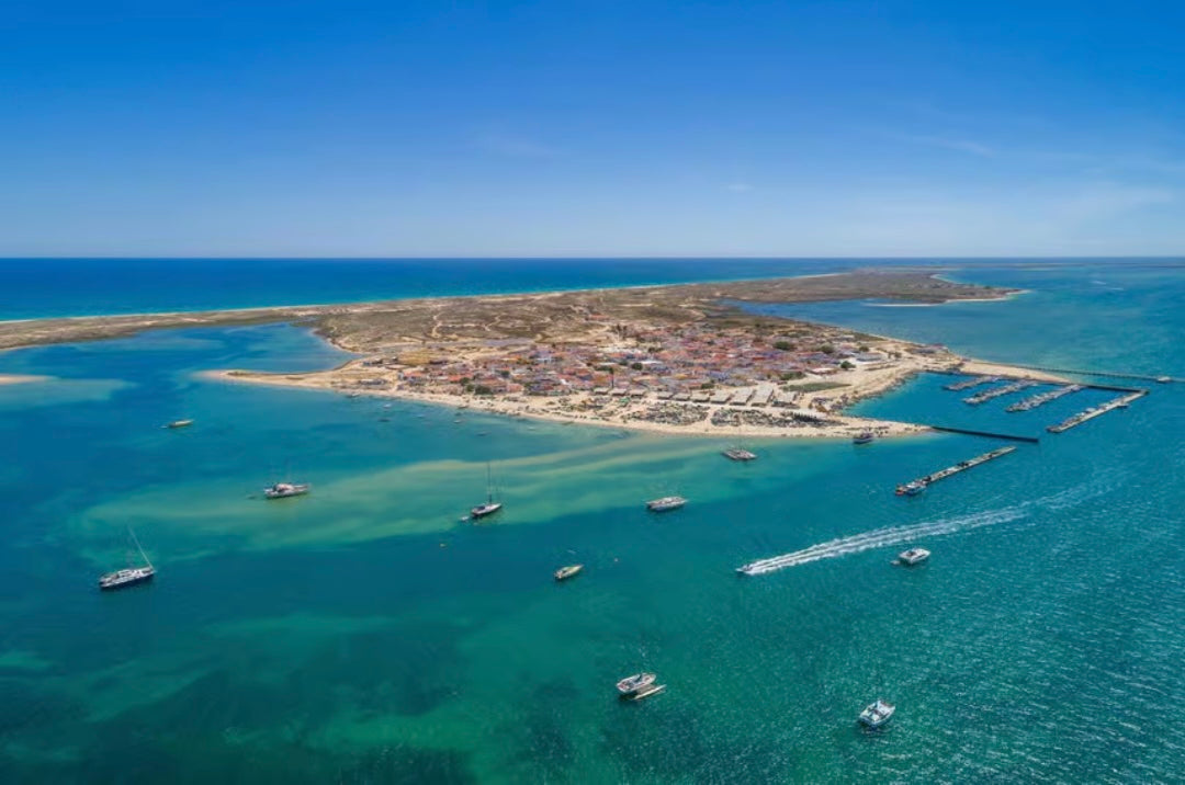 Ria Formosa: 3-Hour Boat Tour to Armona and Culatra Islands