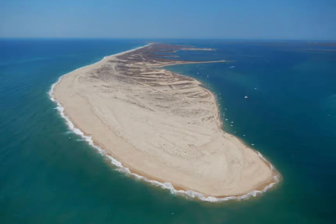 Ria Formosa: 3-Hour Boat Tour to Armona and Culatra Islands