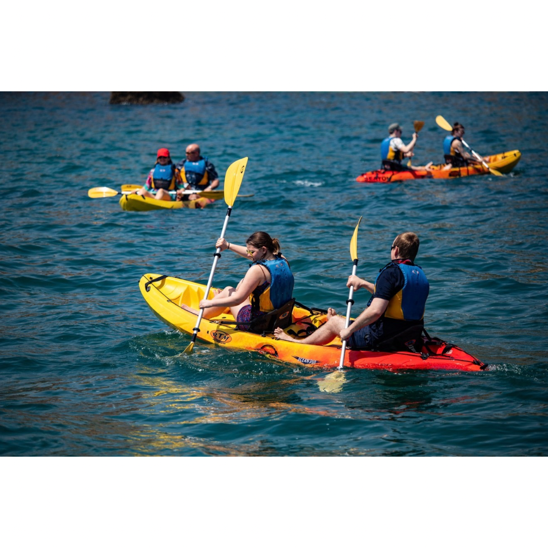 Albufeira: Kayak Tour