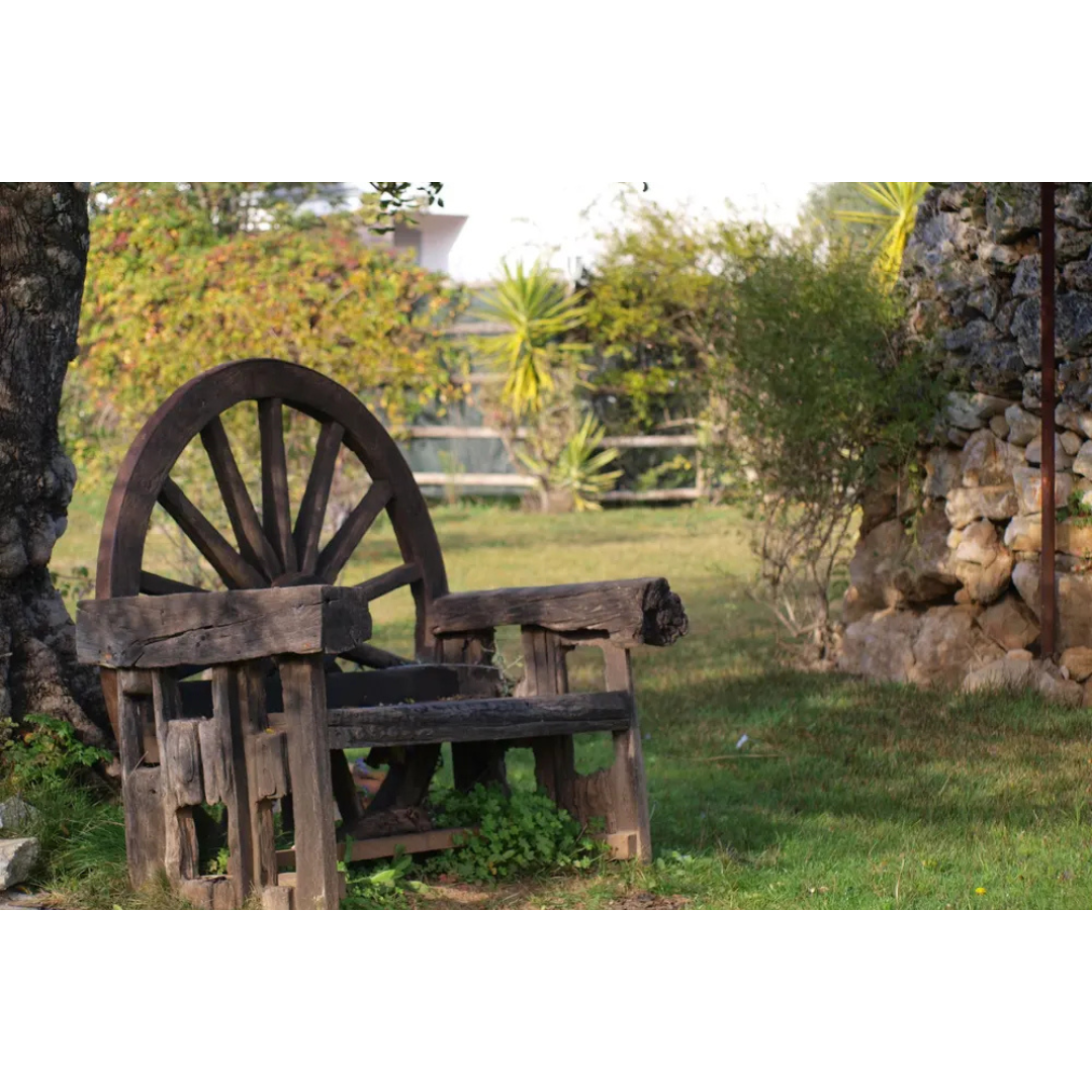Sabores & Tradições do Algarve