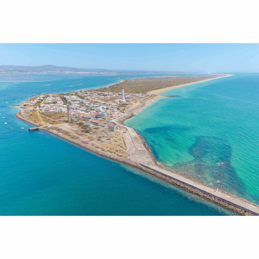 Vilamoura: Ria Formosa Full Day Experience