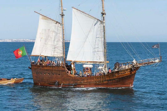 Cruzeiro Navio Pirata